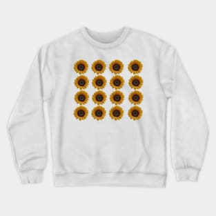 color image of a sunflower, flowers that rotates behind the sun Crewneck Sweatshirt